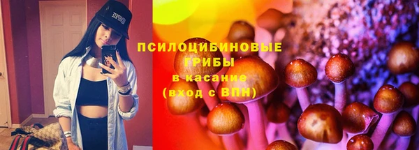 mdma Осинники