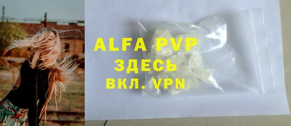 гашик Няндома