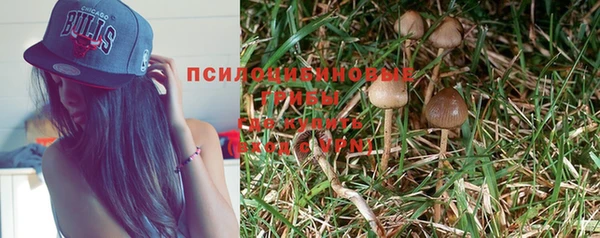 гашик Няндома
