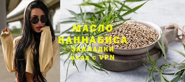 гашик Няндома