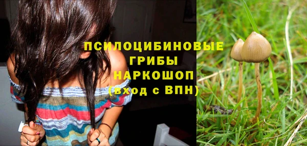 гашик Няндома