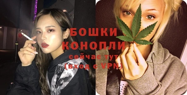 гашик Няндома