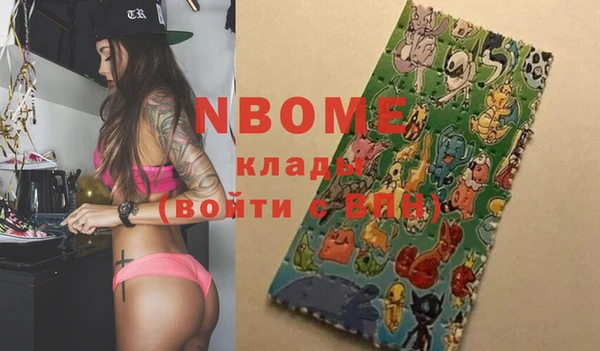гашик Няндома