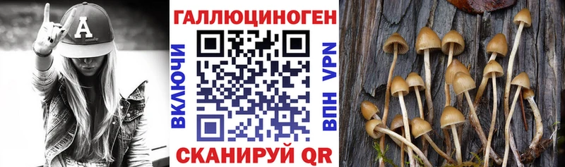Псилоцибиновые грибы ЛСД наркотики Шимановск